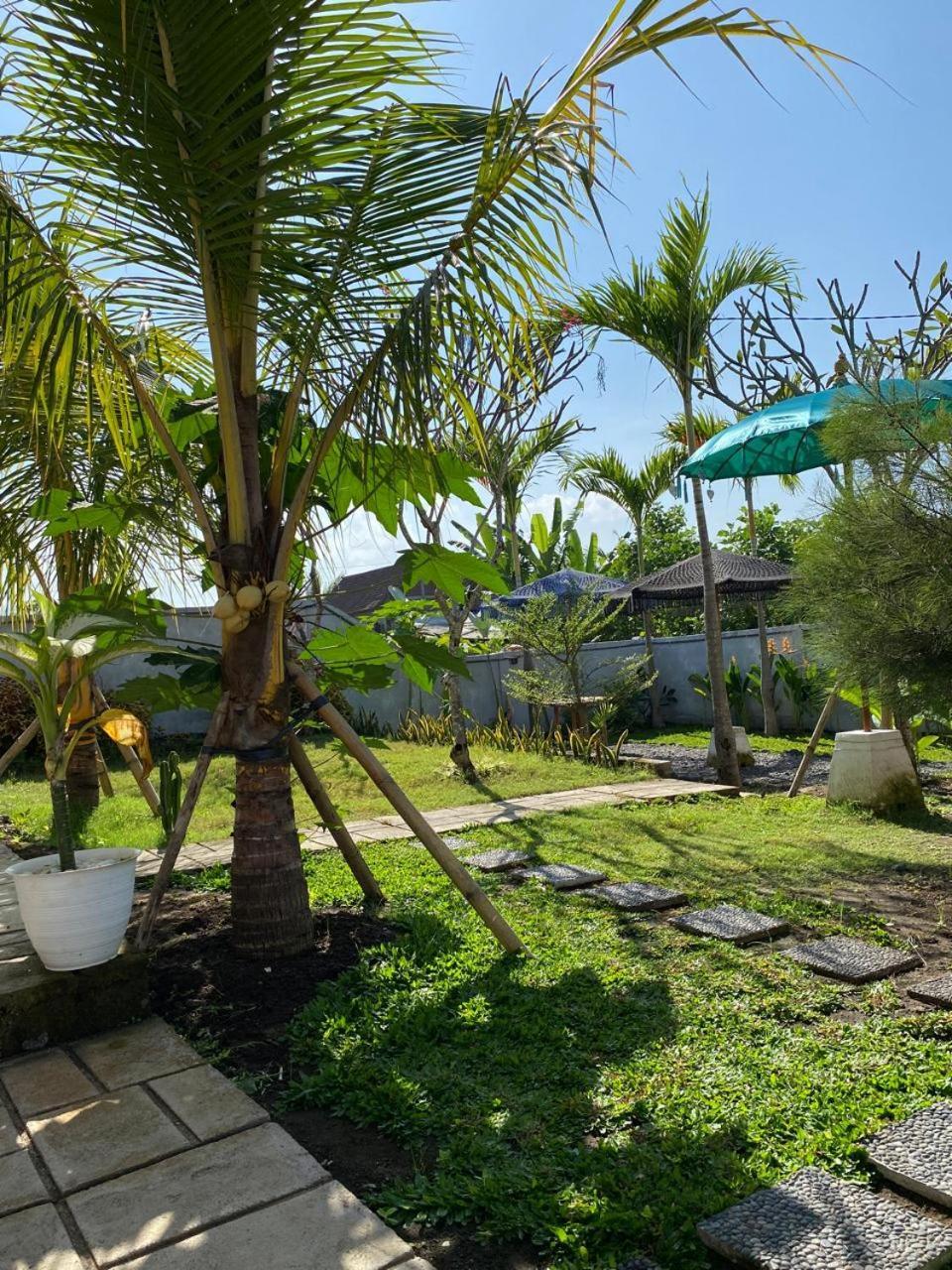 Sumbul View Surfcamp Hotel Airsatang Eksteriør billede