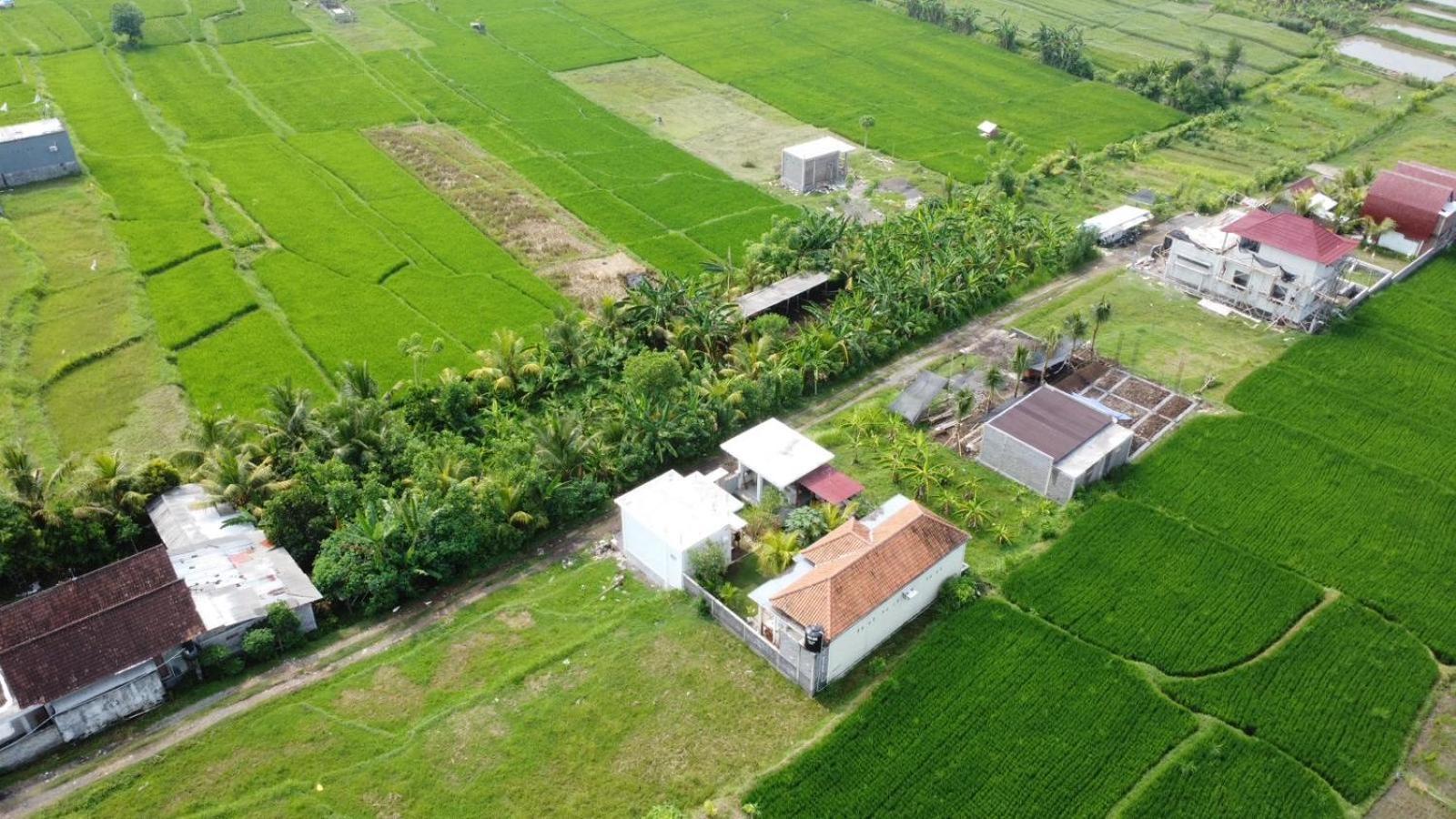 Sumbul View Surfcamp Hotel Airsatang Eksteriør billede